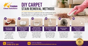 DIY Carpet Stain Removal Methods